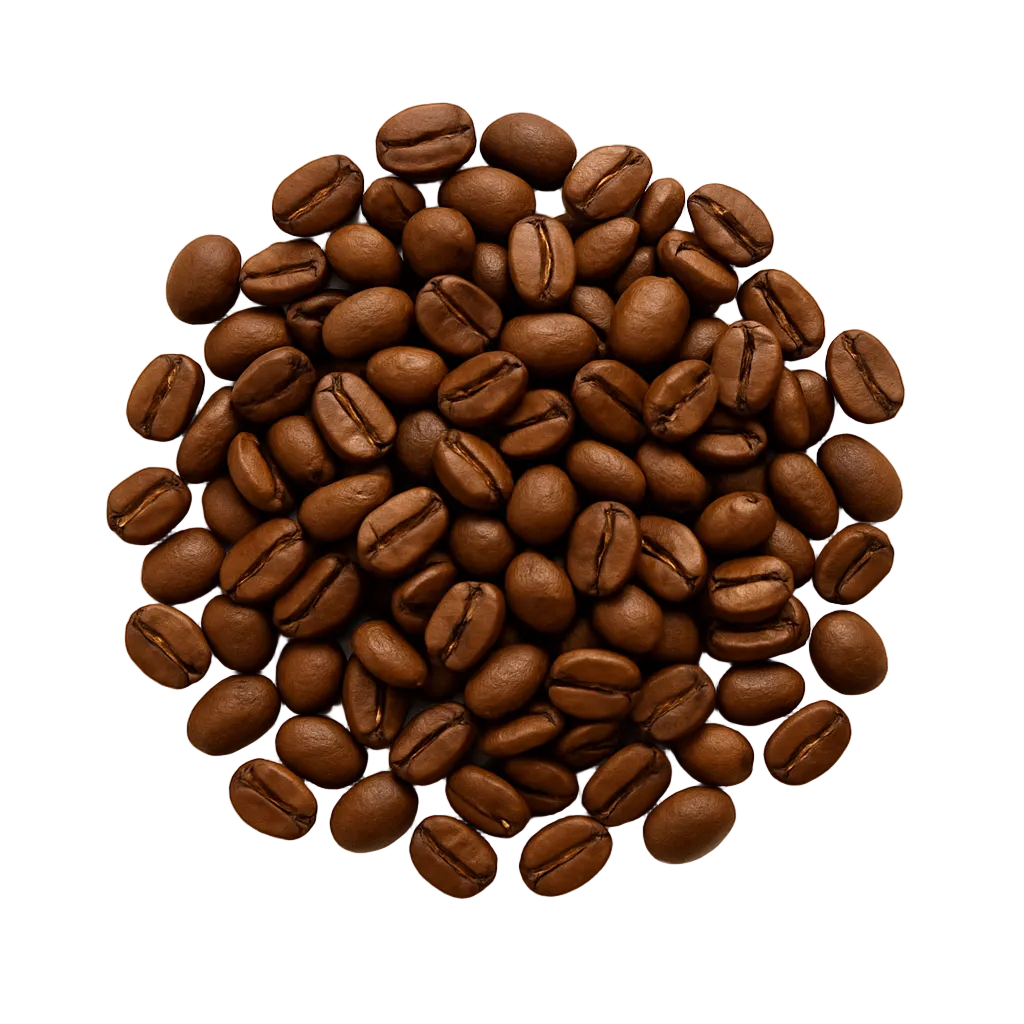 South American Blend